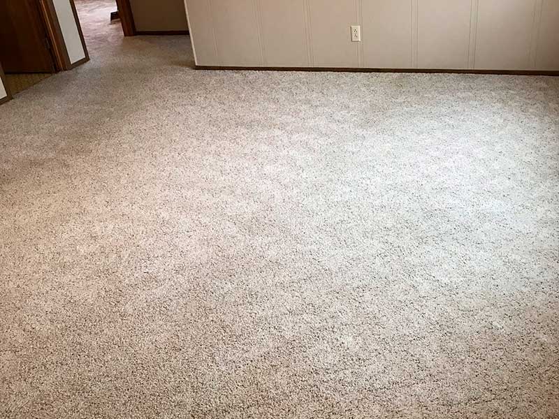Carpet Cleaning gallery