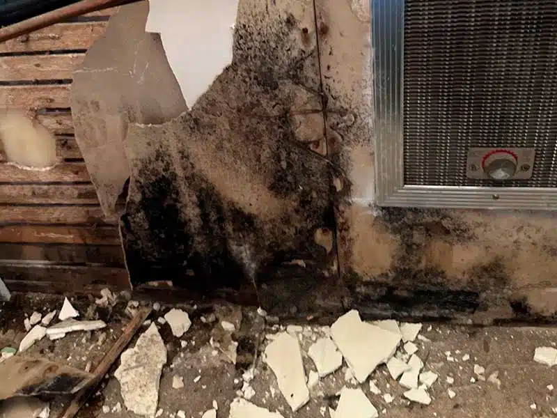 Mold Removal gallery