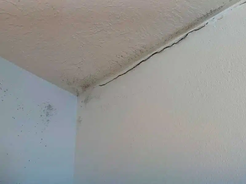 Mold Removal gallery