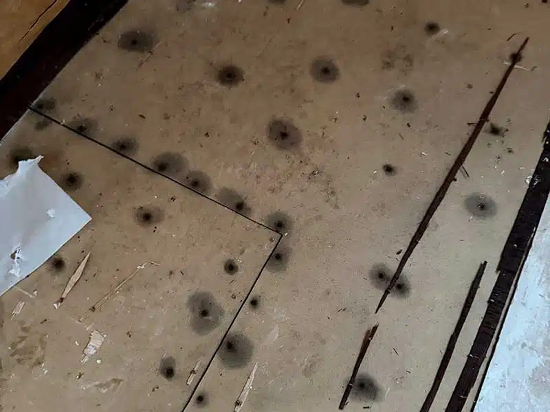 Mold Removal gallery