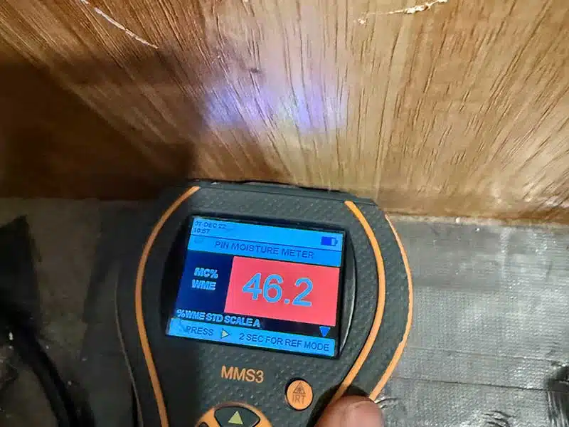 Mold Removal gallery