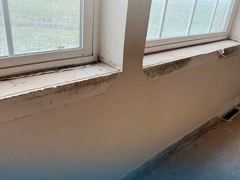 Mold Removal gallery