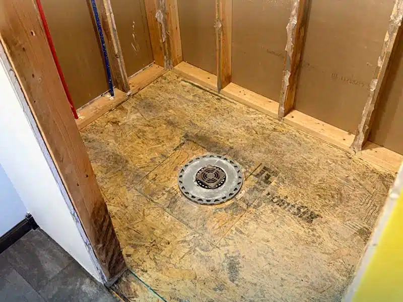 Mold Removal gallery