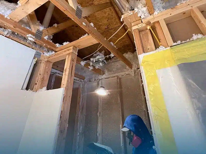 Mold Removal gallery