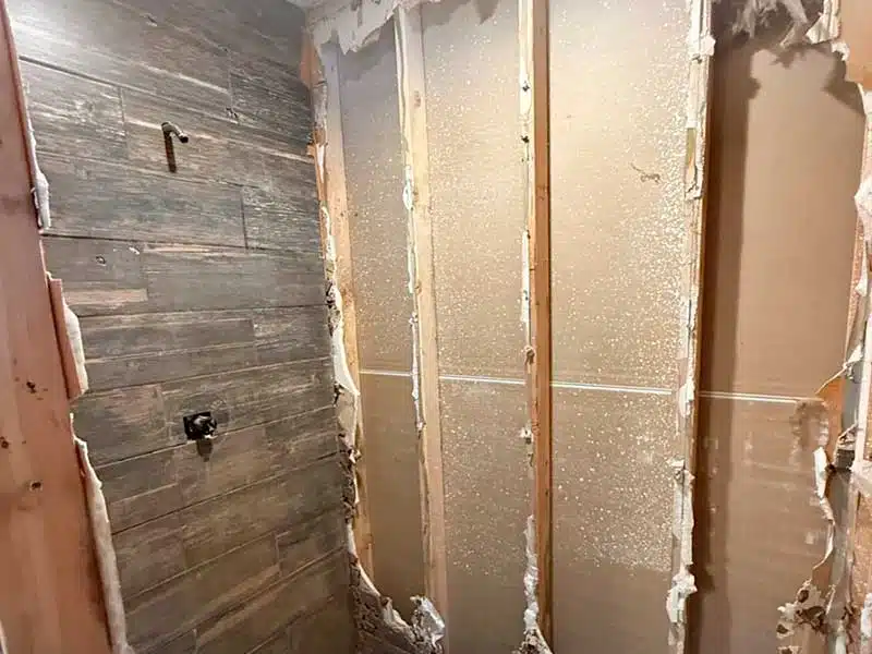 Mold Removal gallery