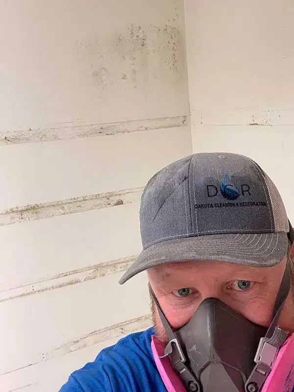 Mold Removal in Platte and Mitchell