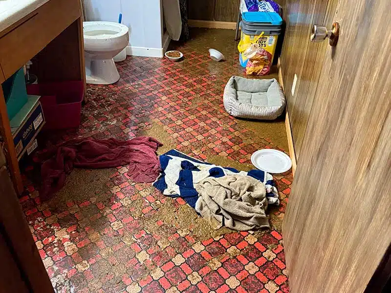 Sewage Backup Cleanup gallery