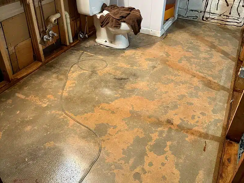 Sewage Backup Cleanup gallery
