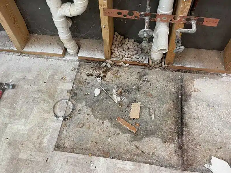 Sewage Backup Cleanup gallery