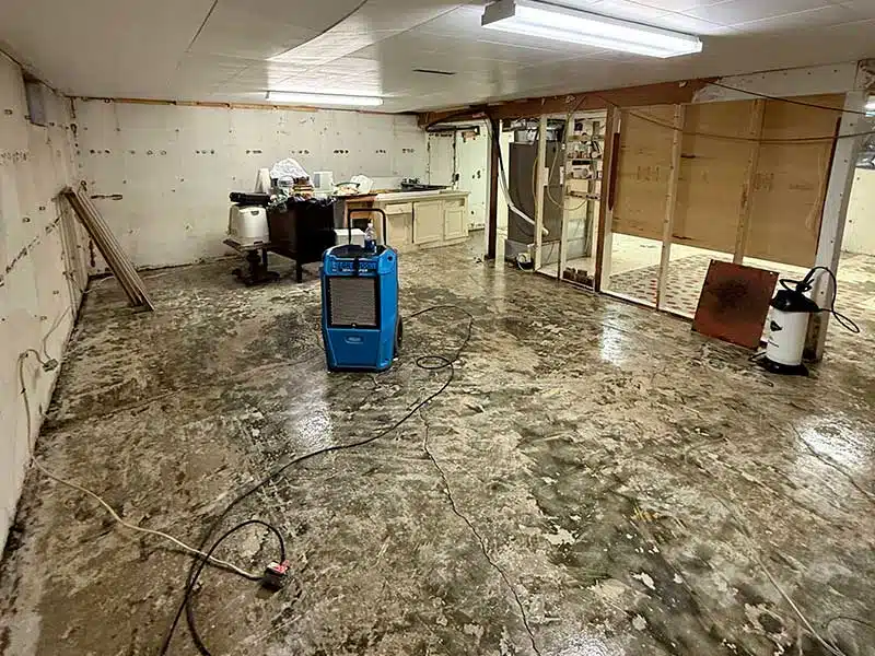 Water Damage gallery