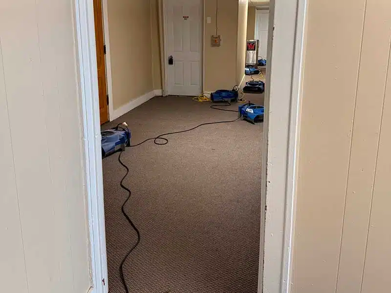Water Damage gallery