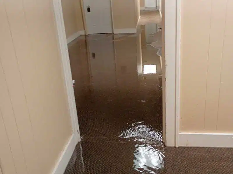 Water Damage gallery