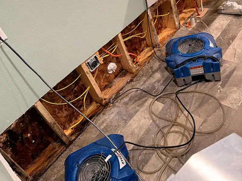 Water Damage gallery